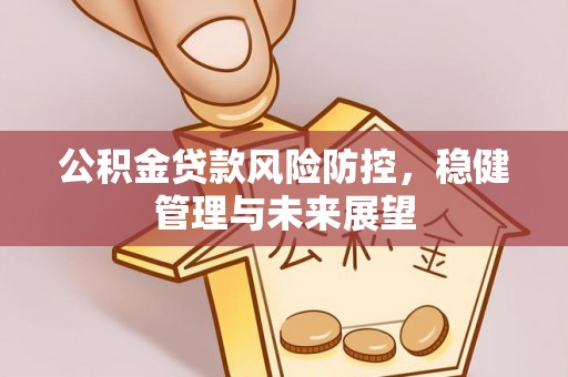 白沙公积金贷款风险防控，稳健管理与未来展望