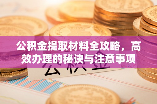 白沙公积金提取材料全攻略，高效办理的秘诀与注意事项