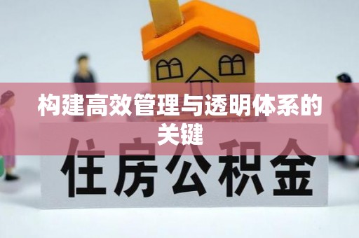 白沙构建高效管理与透明体系的关键