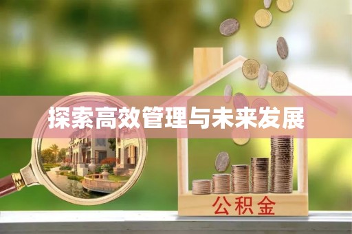 白沙探索高效管理与未来发展