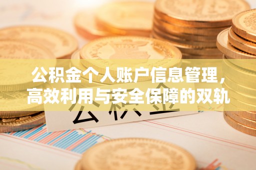 白沙公积金个人账户信息管理，高效利用与安全保障的双轨并行