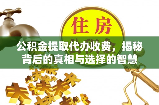 白沙公积金提取代办收费，揭秘背后的真相与选择的智慧