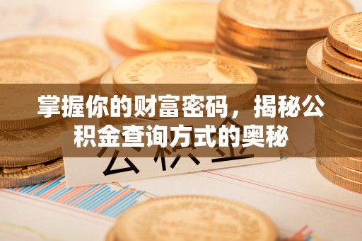 白沙掌握你的财富密码，揭秘公积金查询方式的奥秘