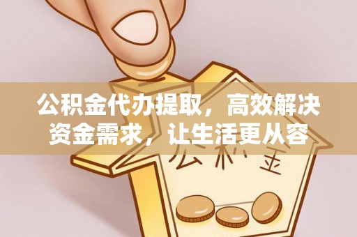白沙公积金代办提取，高效解决资金需求，让生活更从容