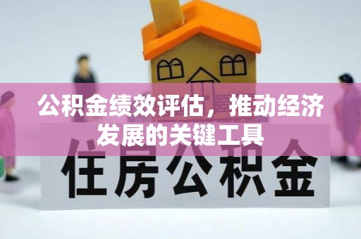 白沙公积金绩效评估，推动经济发展的关键工具