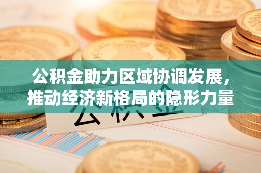 白沙公积金助力区域协调发展，推动经济新格局的隐形力量