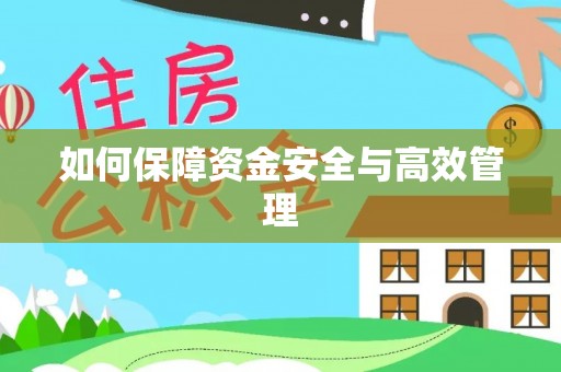 白沙如何保障资金安全与高效管理