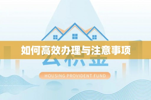 白沙如何高效办理与注意事项
