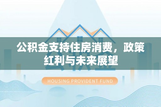 白沙公积金支持住房消费，政策红利与未来展望