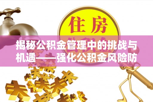 白沙揭秘公积金管理中的挑战与机遇——强化公积金风险防控的多维策略