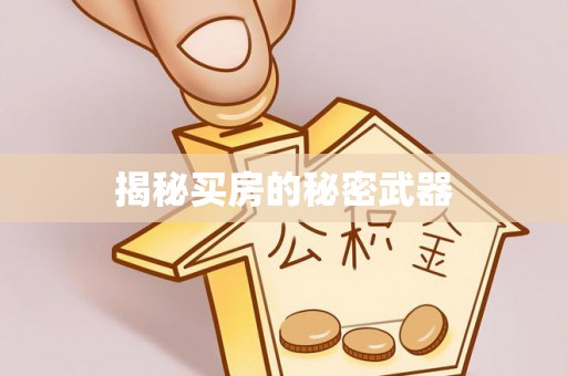 白沙揭秘买房的秘密武器
