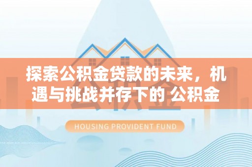 白沙探索公积金贷款的未来，机遇与挑战并存下的 公积金贷款风险防控
