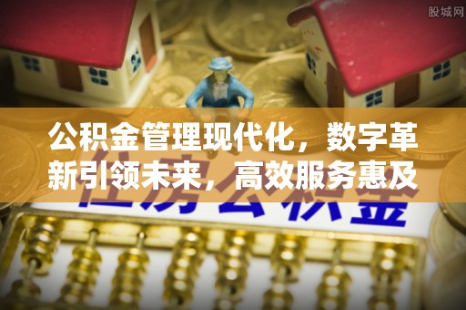 白沙公积金管理现代化，数字革新引领未来，高效服务惠及民生