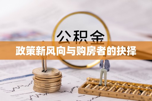 白沙政策新风向与购房者的抉择