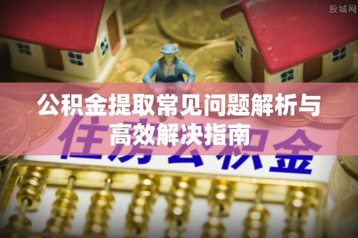 白沙公积金提取常见问题解析与高效解决指南