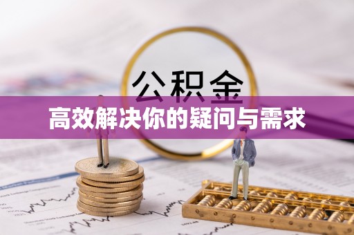 白沙高效解决你的疑问与需求