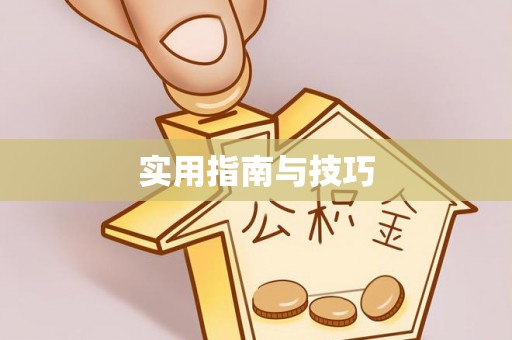 白沙实用指南与技巧