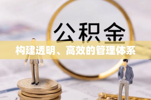 白沙构建透明、高效的管理体系