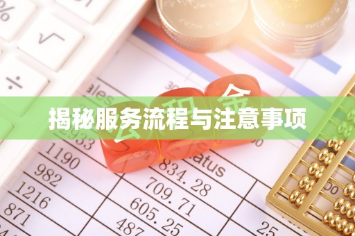 白沙揭秘服务流程与注意事项