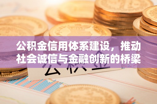 白沙公积金信用体系建设，推动社会诚信与金融创新的桥梁