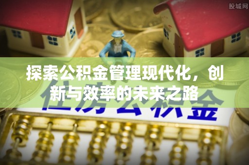 白沙探索公积金管理现代化，创新与效率的未来之路