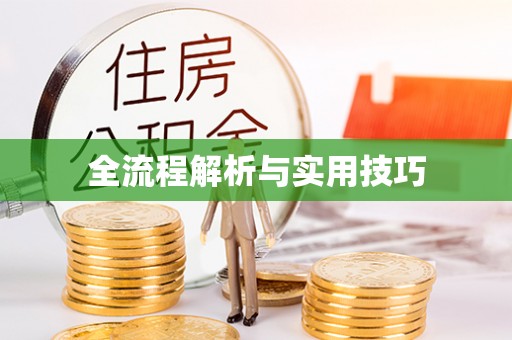 白沙全流程解析与实用技巧
