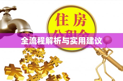 白沙全流程解析与实用建议