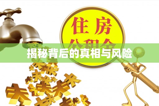 白沙揭秘背后的真相与风险