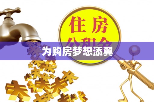 白沙为购房梦想添翼
