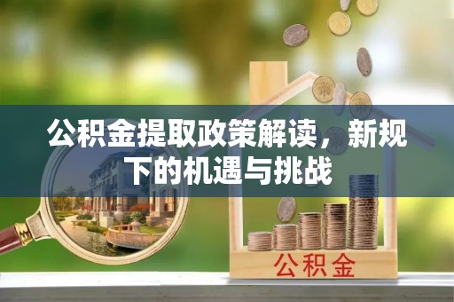白沙公积金提取政策解读，新规下的机遇与挑战