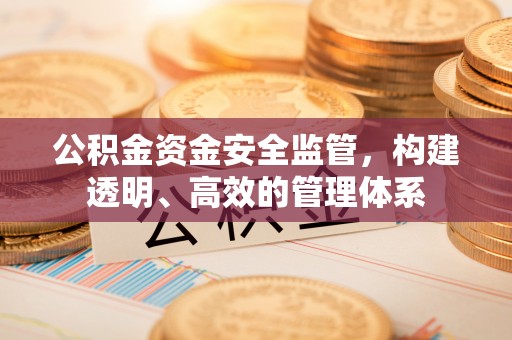 白沙公积金资金安全监管，构建透明、高效的管理体系