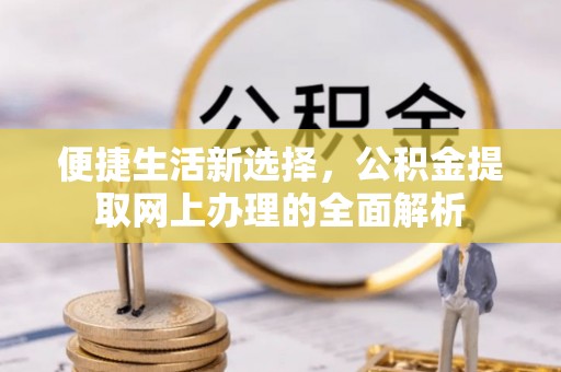 白沙便捷生活新选择，公积金提取网上办理的全面解析