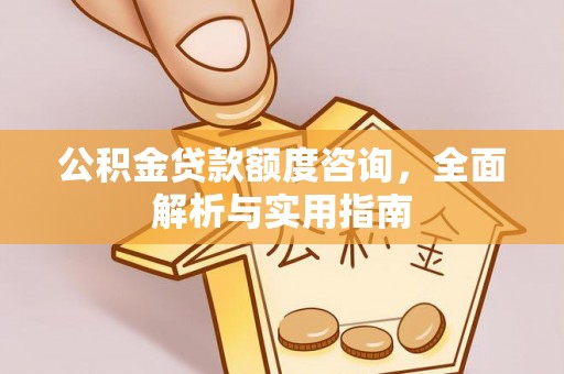 白沙公积金贷款额度咨询，全面解析与实用指南