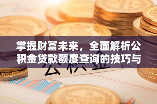白沙掌握财富未来，全面解析公积金贷款额度查询的技巧与策略