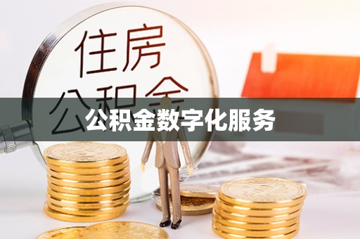 白沙公积金数字化服务