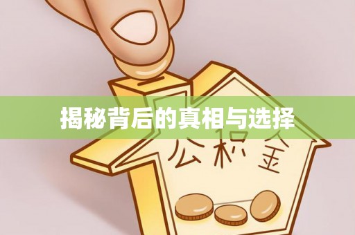 白沙揭秘背后的真相与选择