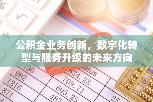 白沙公积金业务创新，数字化转型与服务升级的未来方向