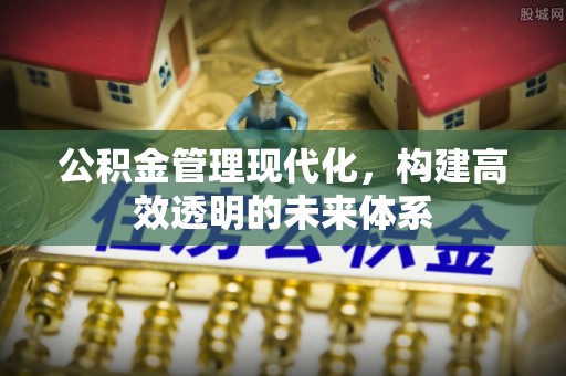 白沙公积金管理现代化，构建高效透明的未来体系