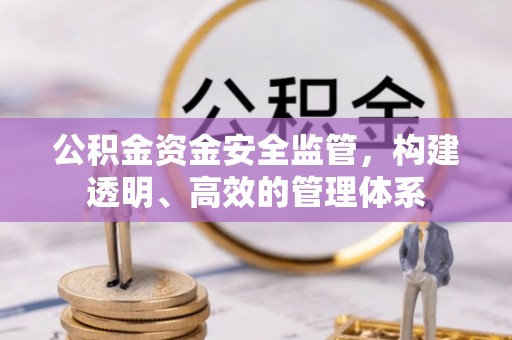 白沙公积金资金安全监管，构建透明、高效的管理体系