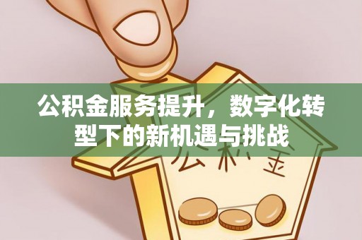 白沙公积金服务提升，数字化转型下的新机遇与挑战