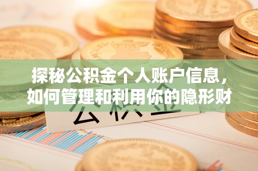 白沙探秘公积金个人账户信息，如何管理和利用你的隐形财富