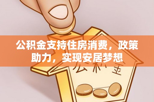 白沙公积金支持住房消费，政策助力，实现安居梦想
