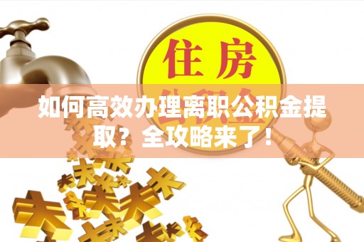 白沙如何高效办理离职公积金提取？全攻略来了！