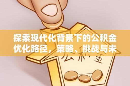 白沙探索现代化背景下的公积金优化路径，策略、挑战与未来展望