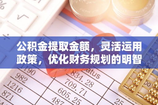 白沙公积金提取金额，灵活运用政策，优化财务规划的明智选择