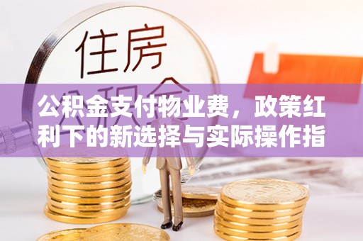 白沙公积金支付物业费，政策红利下的新选择与实际操作指南