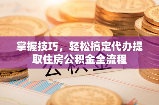 白沙掌握技巧，轻松搞定代办提取住房公积金全流程