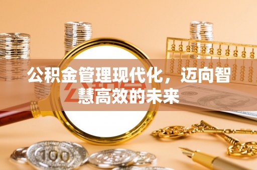 白沙公积金管理现代化，迈向智慧高效的未来