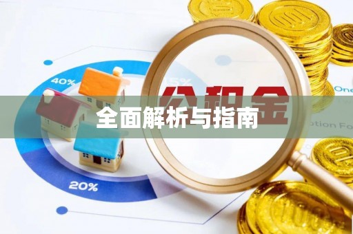 白沙全面解析与指南