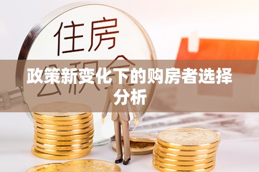 白沙政策新变化下的购房者选择分析
